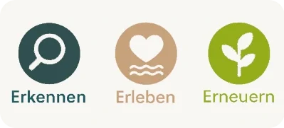 Hypnose Praxis Consensus Grafische Darstellung des hypnotherapeutischen Ansatzes: Erkennen – Erleben – Erneuern